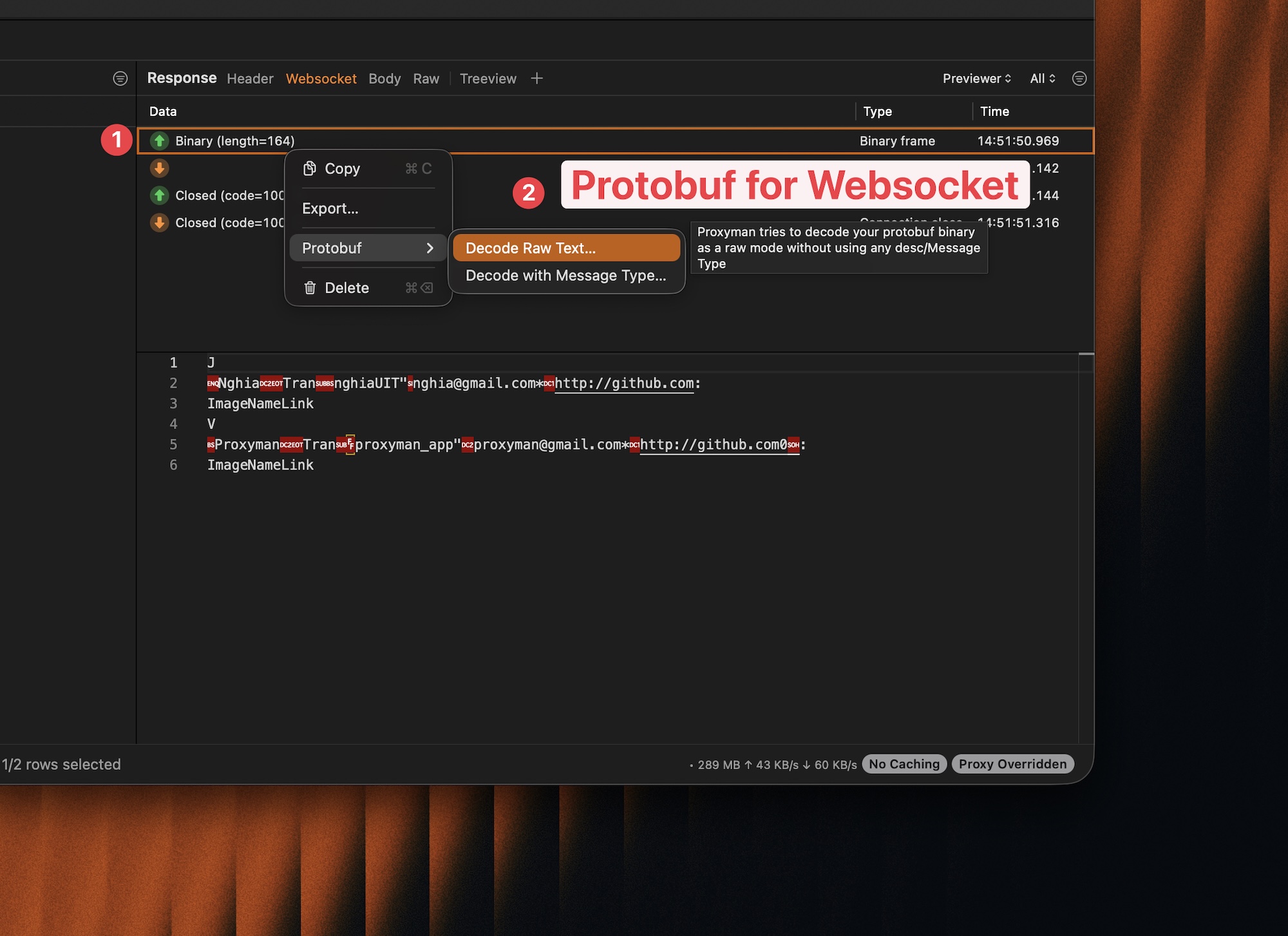 Websocket with Protobuf